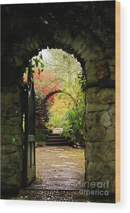 Enys Wood Print featuring the photograph The Colonel's Garden Gate by Terri Waters