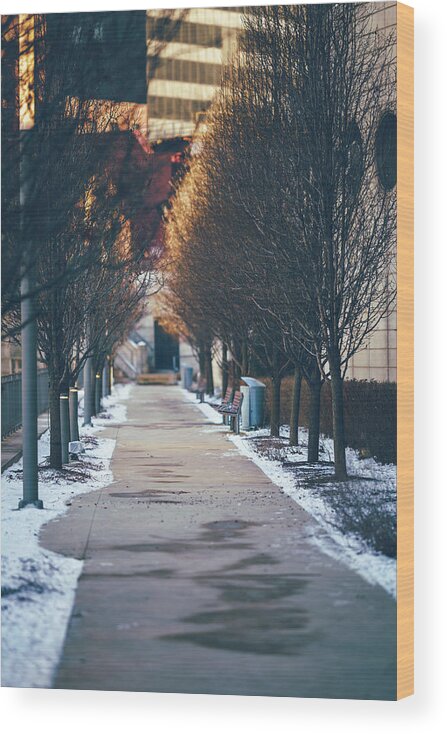 Chicago Wood Print featuring the photograph The Empty Path by Nisah Cheatham