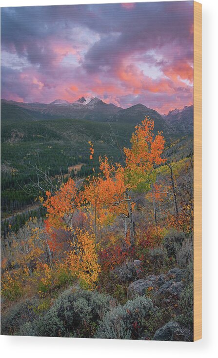 Longs Wood Print featuring the photograph The End of Autumn - Rocky Mountain National Park by Aaron Spong
