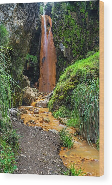 Andes Wood Print featuring the photograph The golden waterfall by Henri Leduc