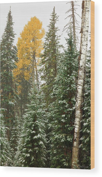 Art Wood Print featuring the photograph The Last Vestige by Rick Furmanek