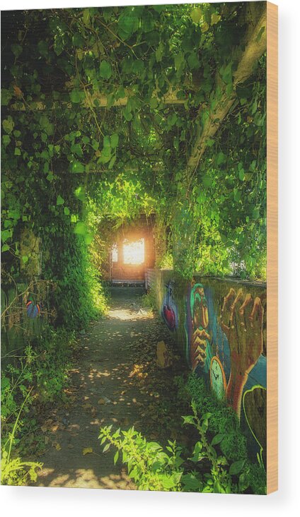 Wild Wood Print featuring the photograph The Light At The End of The Tunnel by Micah Offman