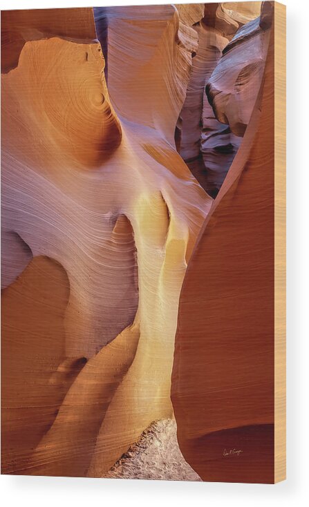 Antelope Canyon Wood Print featuring the photograph The Path by Dan McGeorge