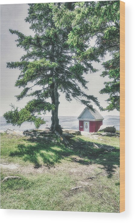 Pemaquid Point Lighthouse Park Wood Print featuring the photograph The Tree of Pemaquid Point by Penny Polakoff