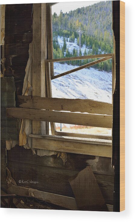 Window Frame Wood Print featuring the photograph There Once Was A Window by Kae Cheatham