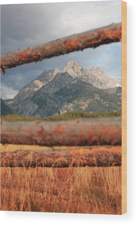 Mountain Wood Print featuring the photograph Through the Fence by Go and Flow Photos