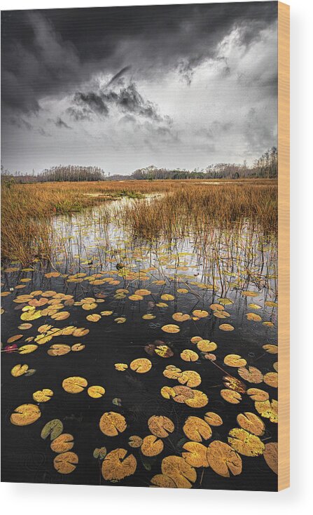 Clouds Wood Print featuring the photograph Thunder over the Autumn Marsh by Debra and Dave Vanderlaan