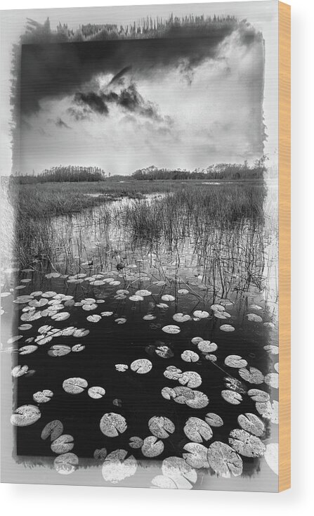 Clouds Wood Print featuring the photograph Thunder over the Marsh in Black and White by Debra and Dave Vanderlaan