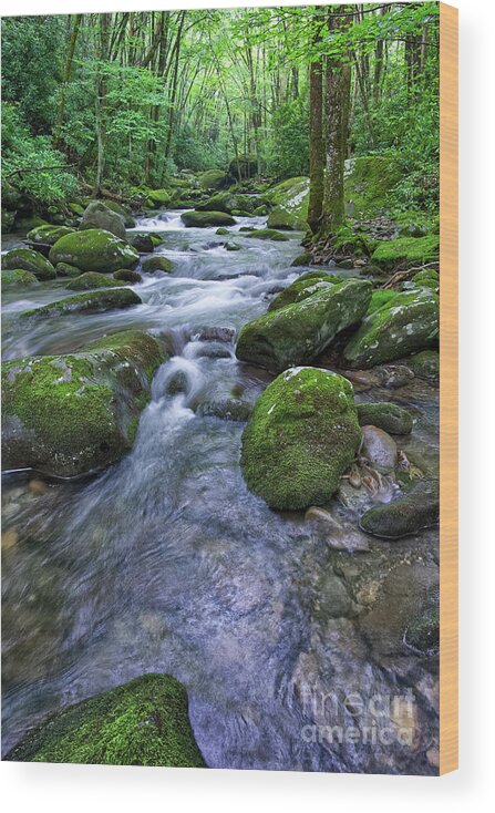 Smoky Mountains Wood Print featuring the photograph Thunderhead Prong 17 by Phil Perkins
