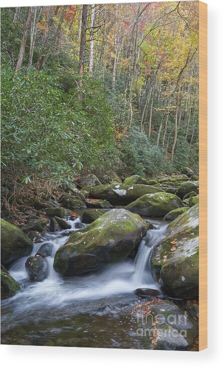 Smoky Mountains Wood Print featuring the photograph Thunderhead Prong 27 by Phil Perkins