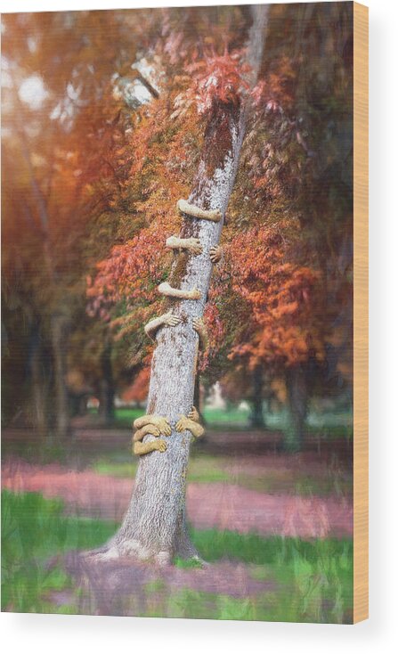 Annecy Wood Print featuring the photograph Tree Huggers Annecy France by Carol Japp