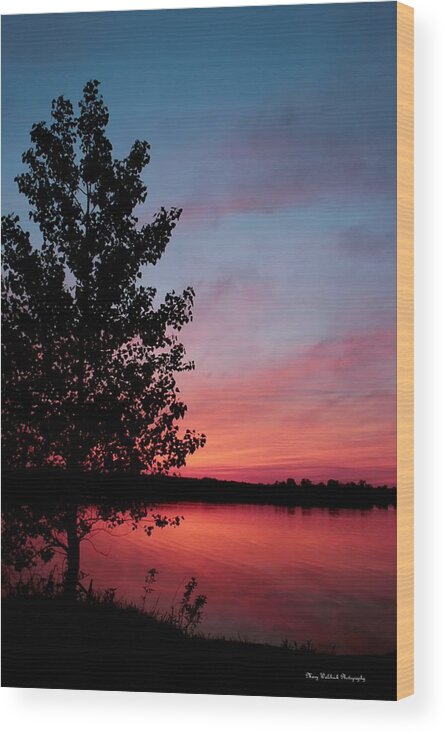 Tree Wood Print featuring the photograph Tree in Sunset by Mary Walchuck