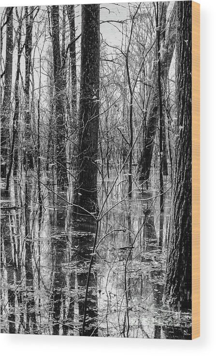 Big Oak Tree State Park Wood Print featuring the photograph Tree Reflections at Big Oak Tree State Park One 2 by Bob Phillips