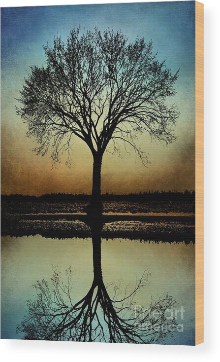 Tree Wood Print featuring the digital art Tree Silhouette Design 178 by Lucie Dumas