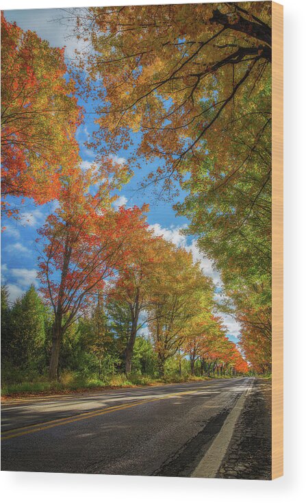 Michigan Wood Print featuring the photograph Tree Tunnel on M22 by Owen Weber