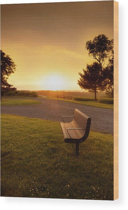 Sunset Wood Print featuring the photograph Trexler Nature Preserve Empty Bench Sunset by Jason Fink