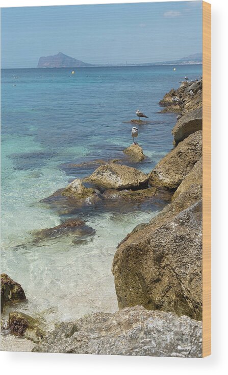 Mediterranean Wood Print featuring the photograph Turquoise blue sea water and rocks in Calpe 2 by Adriana Mueller