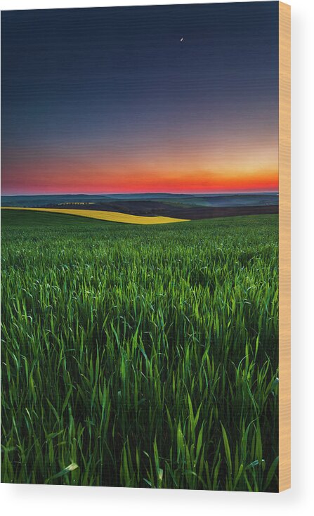 Dusk Wood Print featuring the photograph Twilight Fields by Evgeni Dinev
