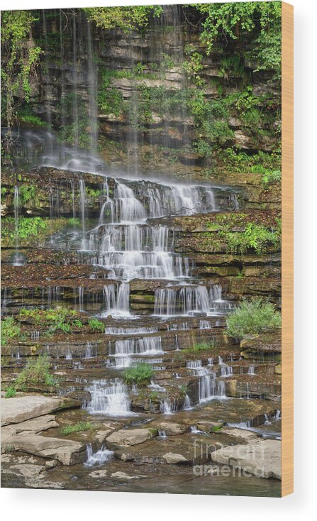 Twin Falls Wood Print featuring the photograph Twin Falls 23 by Phil Perkins