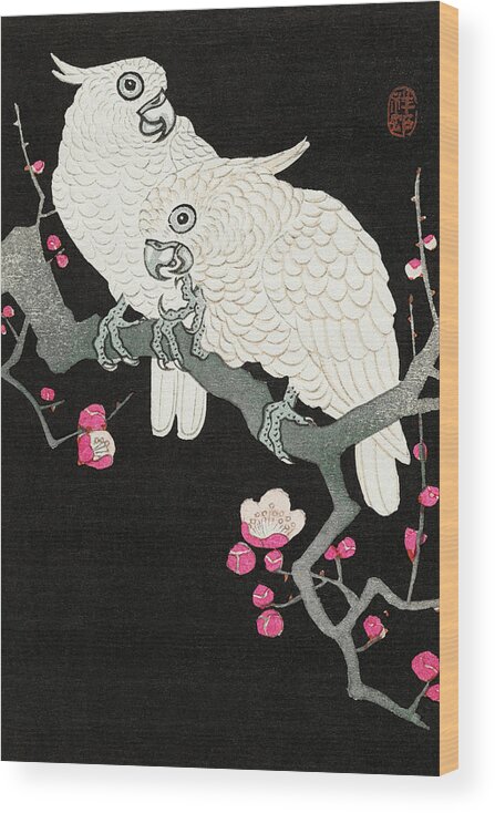 Birds Wood Print featuring the painting Two cockatoo and plum blossom by Ohara Koson