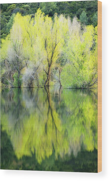Reflection Wood Print featuring the photograph Two of a Kind by Gary Geddes