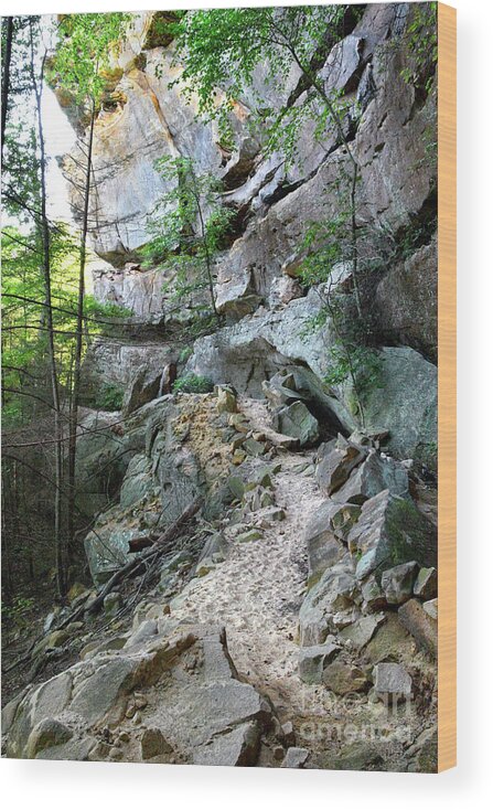 Pogue Creek Canyon Wood Print featuring the photograph Unnamed Rock Face 7 by Phil Perkins