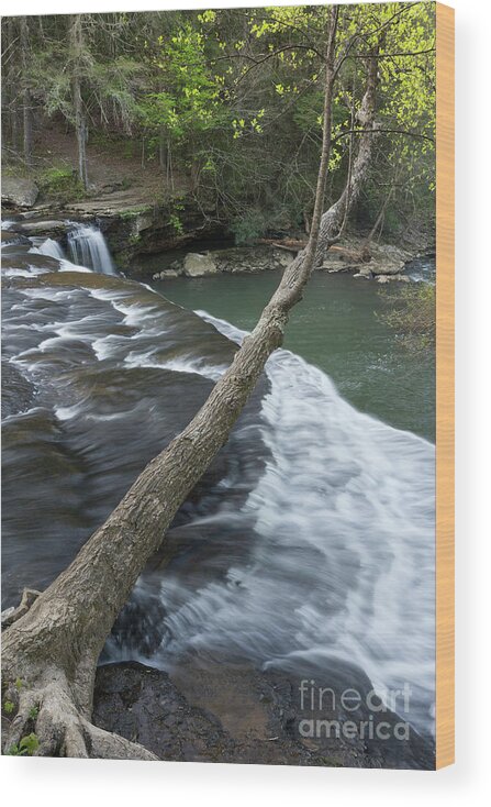 Waterfall Wood Print featuring the photograph Upper Potter's Falls 7 by Phil Perkins