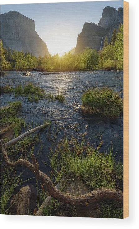 Yosemite National Park Wood Print featuring the photograph Valley Rising by Kristen Wilkinson