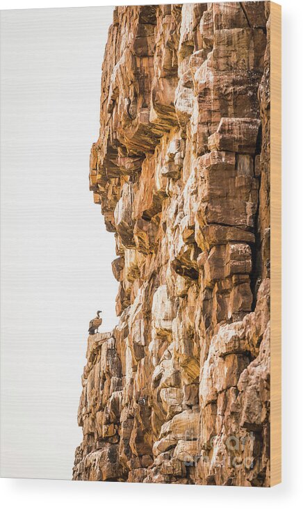 Landscape Wood Print featuring the photograph Vulture on Cliff by THP Creative