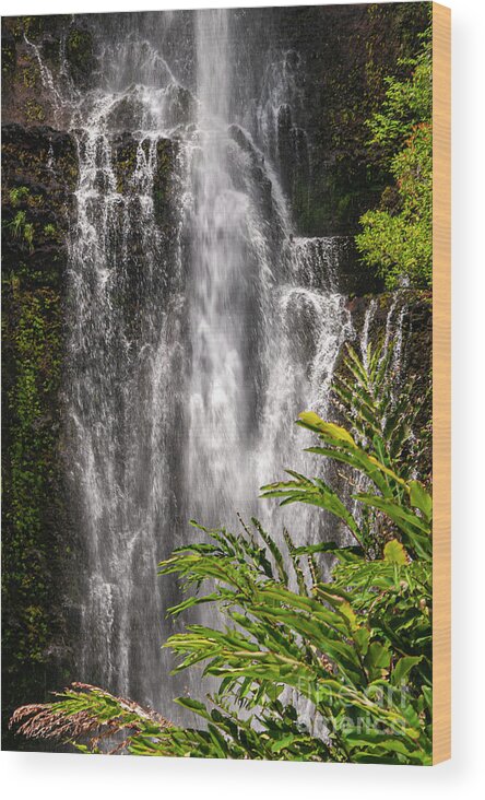 Wailua Falls Wood Print featuring the photograph Wailua Waterfall by Bob Phillips