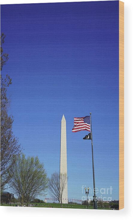  Wood Print featuring the photograph Washington DC by Annamaria Frost