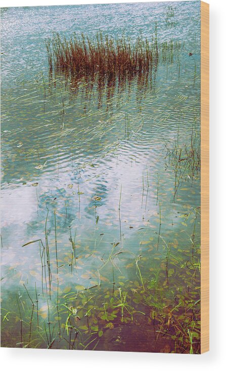 Autumn Wood Print featuring the photograph Autumn and Water by Dubi Roman