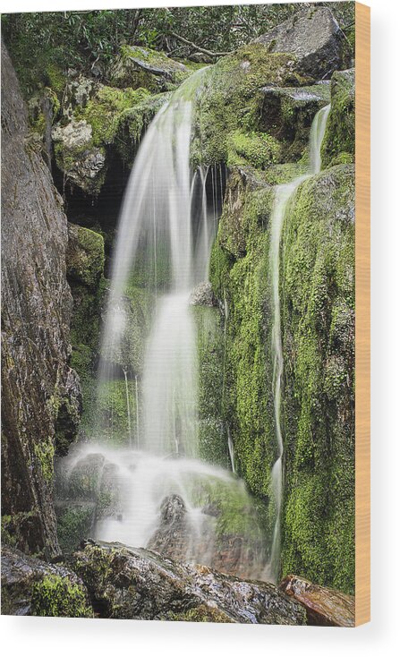 Waterfall Wood Print featuring the photograph Waterfall and Moss by Gary Geddes