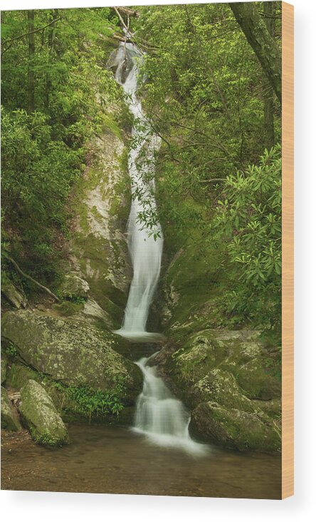 Waterfall Wood Print featuring the photograph Waterfall in the Forest by Melissa Southern
