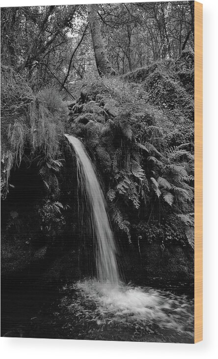 Nature Wood Print featuring the photograph Waterfall in the middle of Carvalhais forest. Monochrome by Angelo DeVal