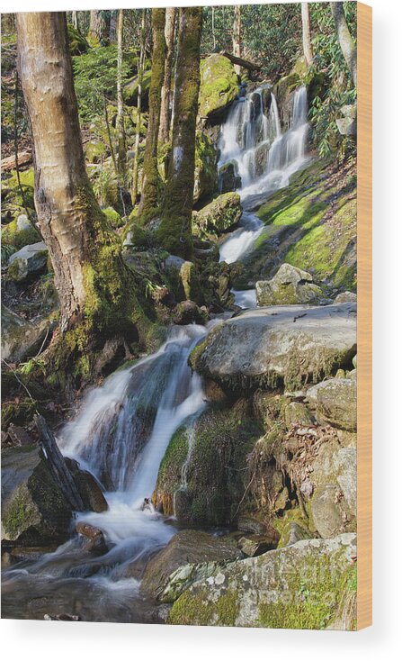 Tennessee Wood Print featuring the photograph Waterfall In The Smokies by Phil Perkins