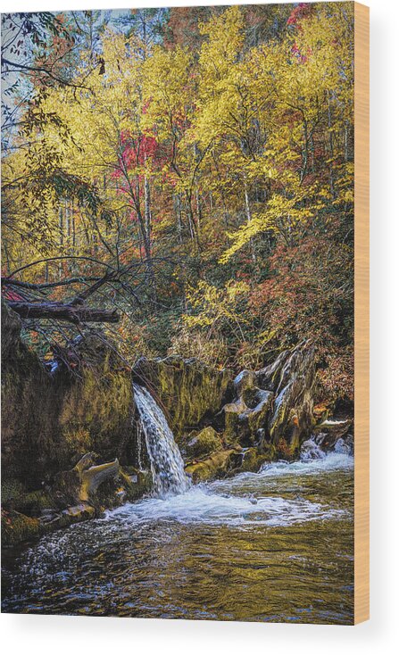 Carolina Wood Print featuring the photograph Waterfall in the Smoky Mountains Autumn Colors by Debra and Dave Vanderlaan