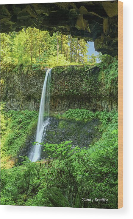 Waterfall Wood Print featuring the photograph Waterfall looking from Cave by Randy Bradley