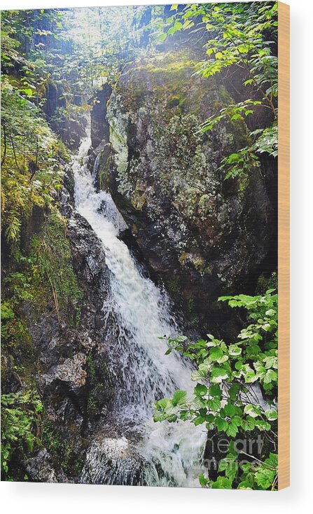 Waterfall Wood Print featuring the photograph Waterfall Photo 142 by Lucie Dumas