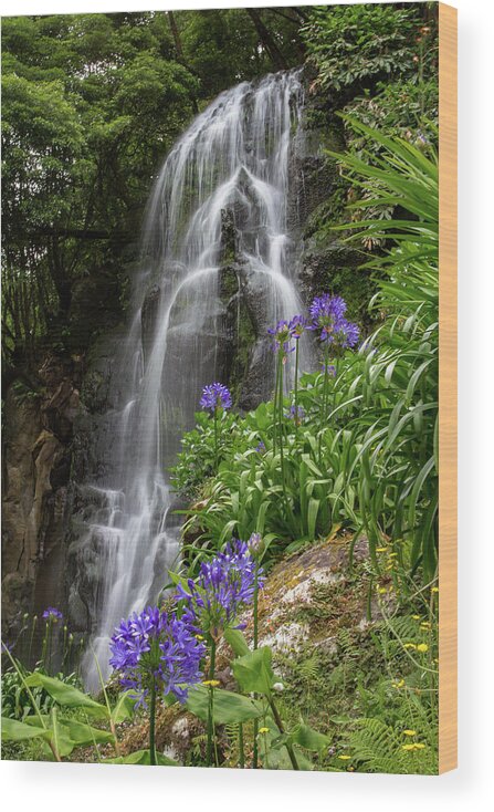 Nordeste Wood Print featuring the photograph Waterfall with Flowers by Denise Kopko
