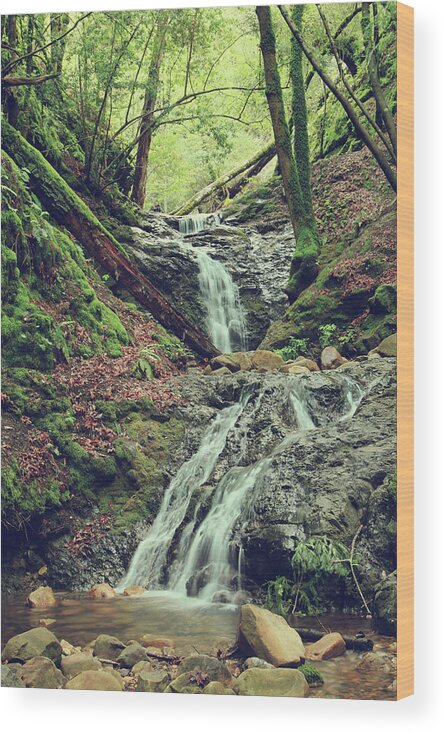 Uvas Canyon County Park Wood Print featuring the photograph We Were Lost in Love by Laurie Search
