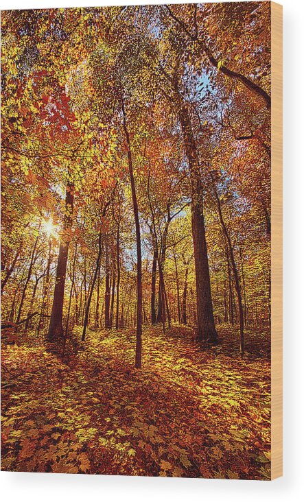 Hope Wood Print featuring the photograph Where I Want To Be by Phil Koch