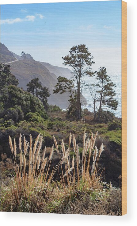 Coastline Wood Print featuring the photograph Wild Grasses Along Big Sur by Robert Carter