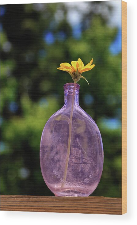 Wildflower Wood Print featuring the photograph Wildflower In A Whiskey Flask by James Eddy
