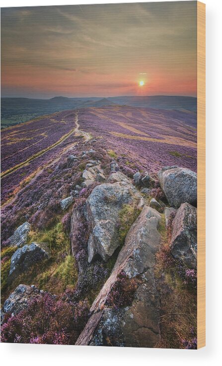 Flower Wood Print featuring the photograph Win Hill 1.0 by Yhun Suarez