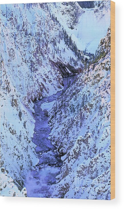 Dave Welling Wood Print featuring the photograph Winter Grand Canyon Of The Yellowstone Yellowstone Np by Dave Welling