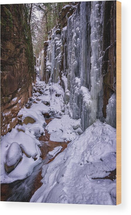 Winter Wood Print featuring the photograph Winter in Flume Gorge by Rick Berk