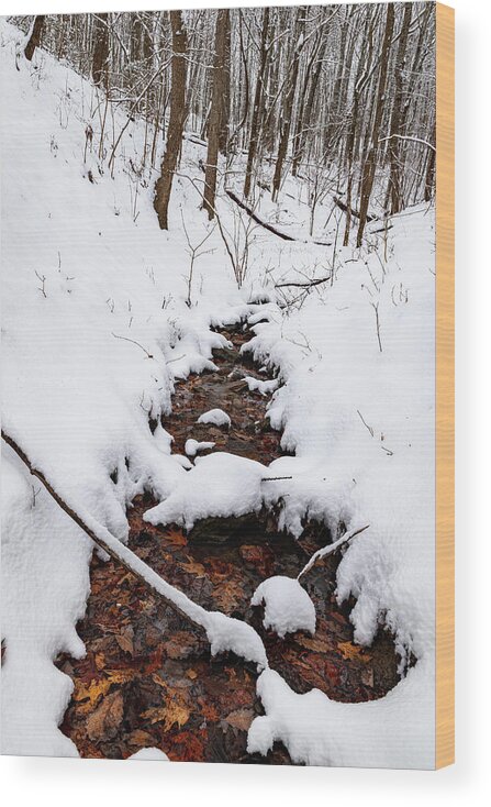 Creek Wood Print featuring the photograph Winter Transformations by Lara Ellis