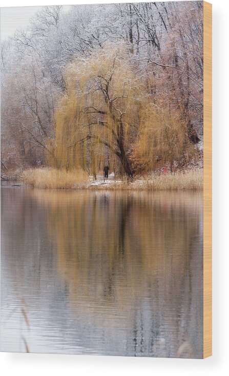 Weeping Willow Wood Print featuring the photograph Winter Willow by John Randazzo