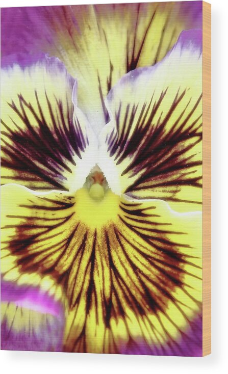 Floral Wood Print featuring the photograph You Pansy by Lens Art Photography By Larry Trager